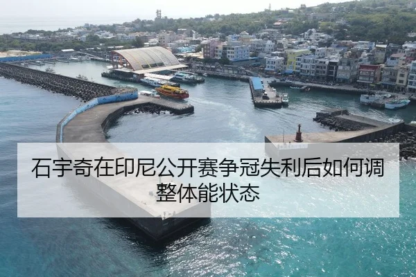 shi-yu-qi-zai-yin-ni-gong-kai-sai-zheng-guan-shi-li-hou-ru-he-tiao-zheng-ti-neng-zhuang-tai-1-830.jpg