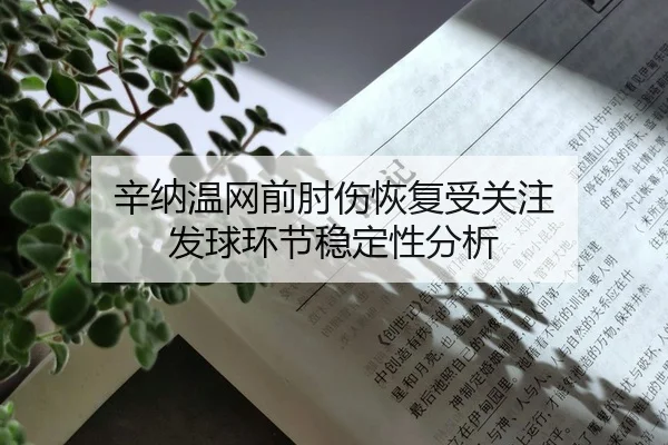 xin-na-wen-wang-qian-zhou-shang-hui-fu-shou-guan-zhu-fa-qiu-huan-jie-wen-ding-xing-fen-xi-2-242.jpg