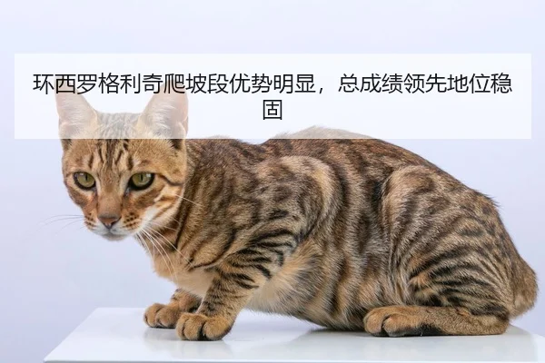 huan-xi-luo-ge-li-qi-pa-po-duan-you-shi-ming-xian-zong-cheng-ji-ling-xian-di-wei-wen-gu-2-230.jpg