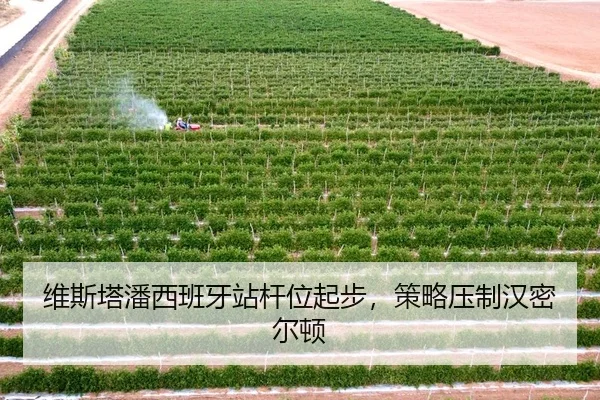 wei-si-ta-pan-xi-ban-ya-zhan-gan-wei-qi-bu-ce-lve-ya-zhi-han-mi-er-dun-3-742.jpg