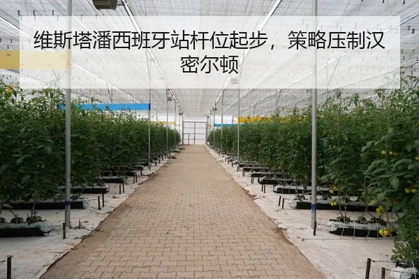 维斯塔潘西班牙站杆位起步，策略压制汉密尔顿